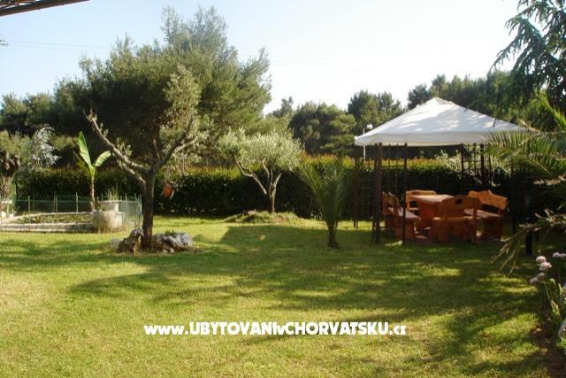 Apartment pool Slivar – photo 5