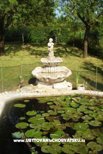 Apartment pool Slivar – photo 8