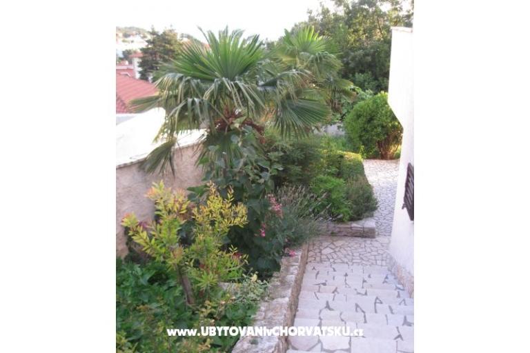 Apartments Ivana – photo 16