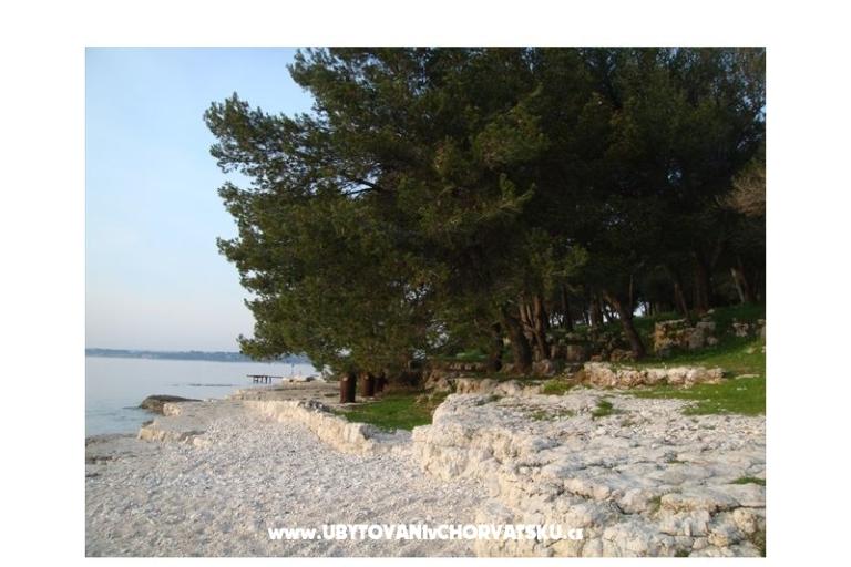 Apartments Villa Dolores – photo 11