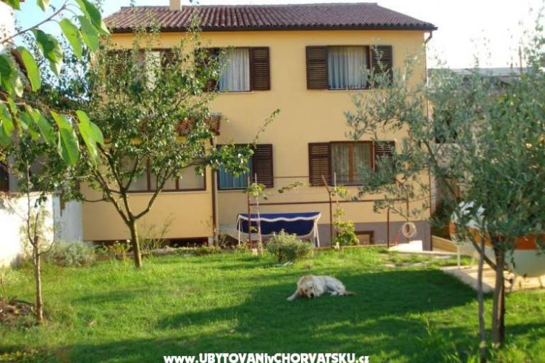 Apartnan Borik – photo 2