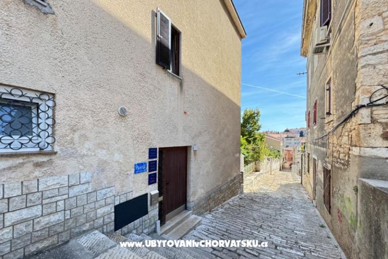 Flowers Apartments Pula – photo 11