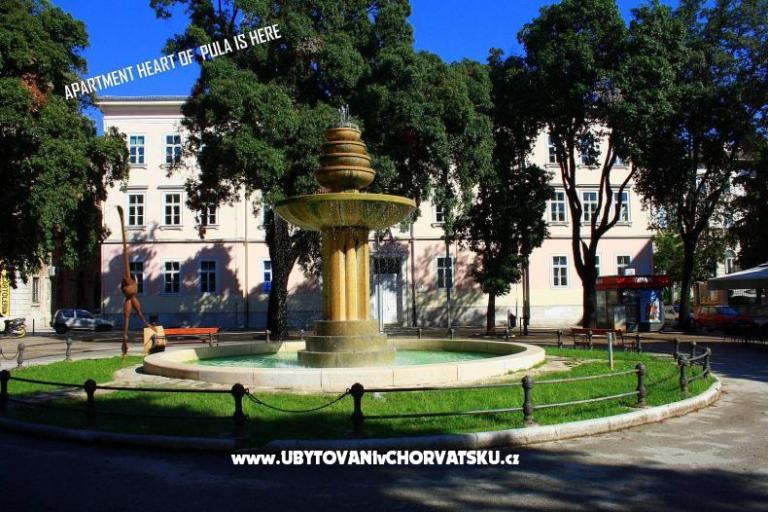 Heart of Pula - Centar Old Town  – photo 13