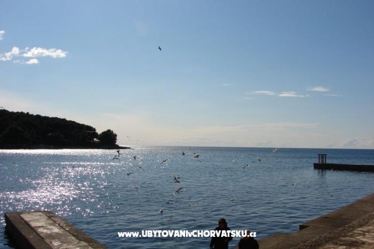 Apartment Petra – photo 11