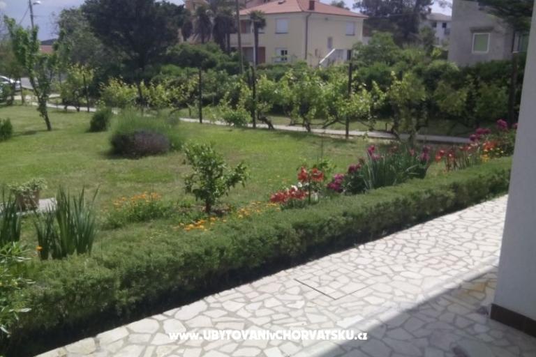 Apartments Ankica – photo 12