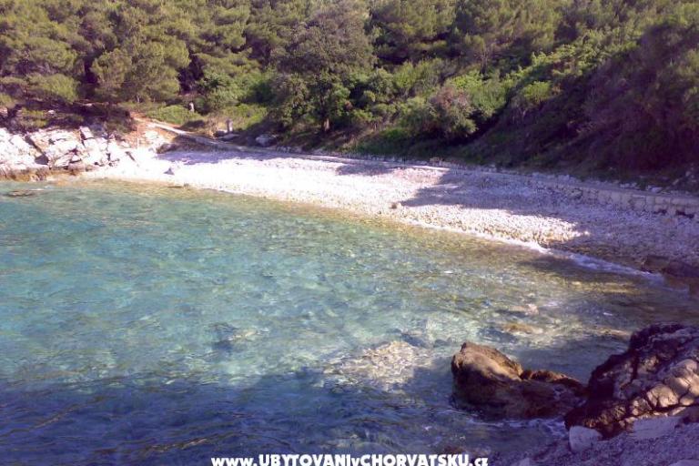Apartments Ankica – photo 7