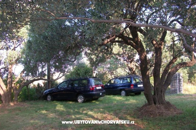 Apartments Bešić – photo 16