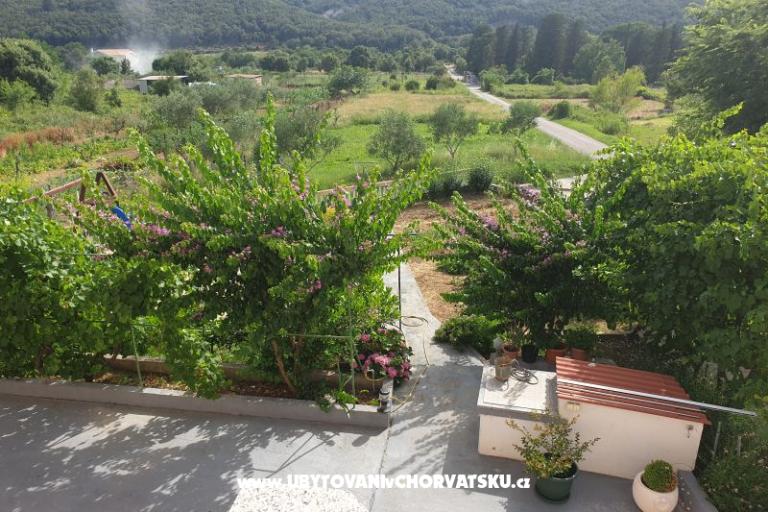 Apartments Lupić – photo 17