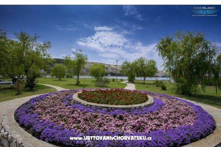 Apartments Sandra – photo 2