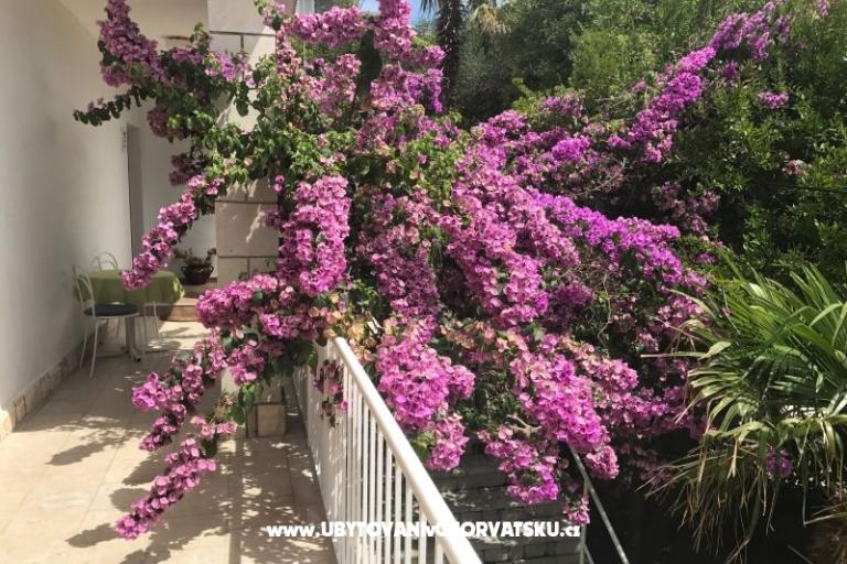 Apartments  Španjol – photo 4