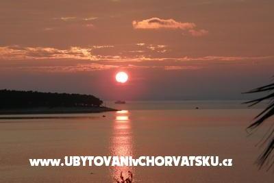 Apartments  Španjol – photo 6