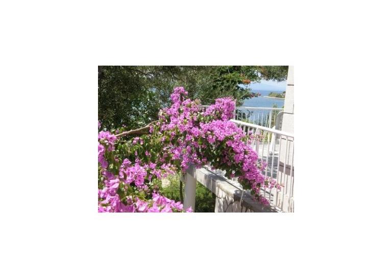 Apartments  Španjol – photo 7