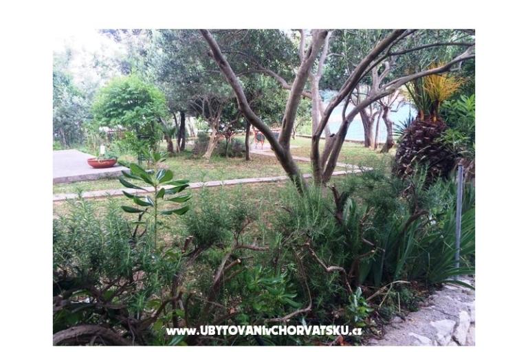 Apartments Supetarska Draga – photo 15