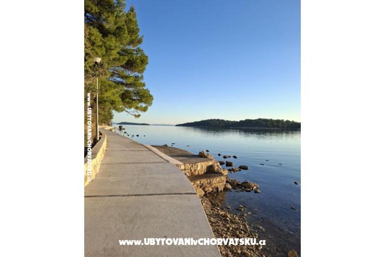 Apartments Palit Rab – photo 4