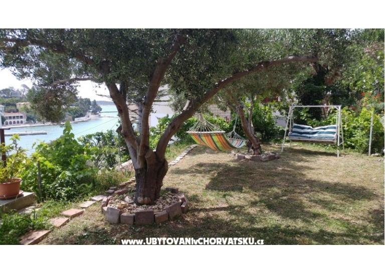 Apartments Dora – photo 14