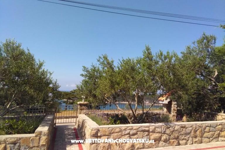 Apartments Mlacovic – photo 13