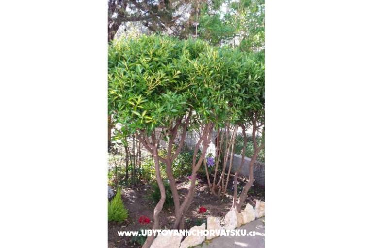 Arba – photo 7
