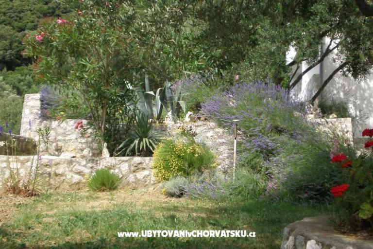 House Zorka – photo 9