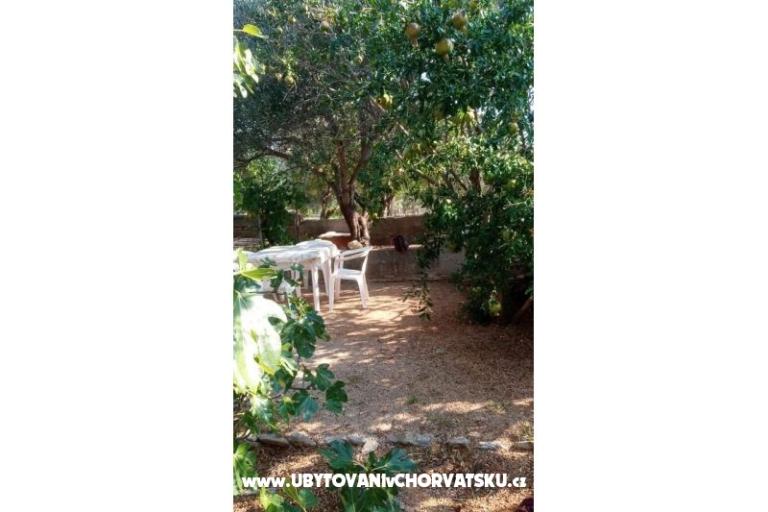 Studio Apartments Vidas – photo 13