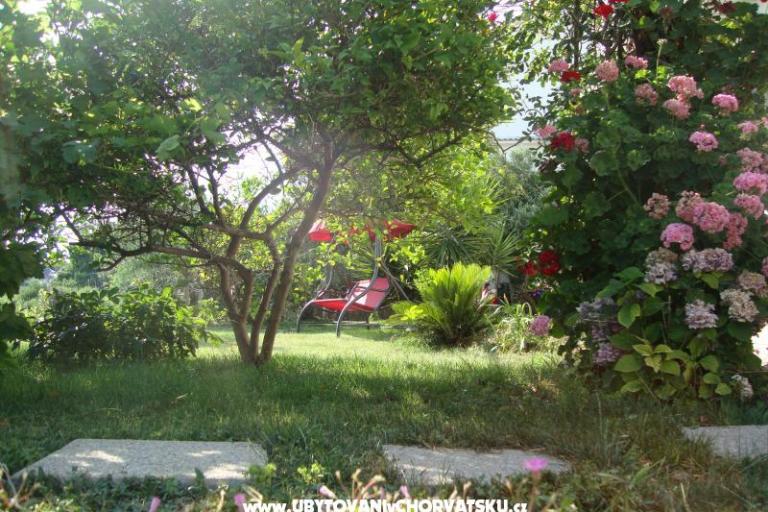 Villa Lolo – photo 2