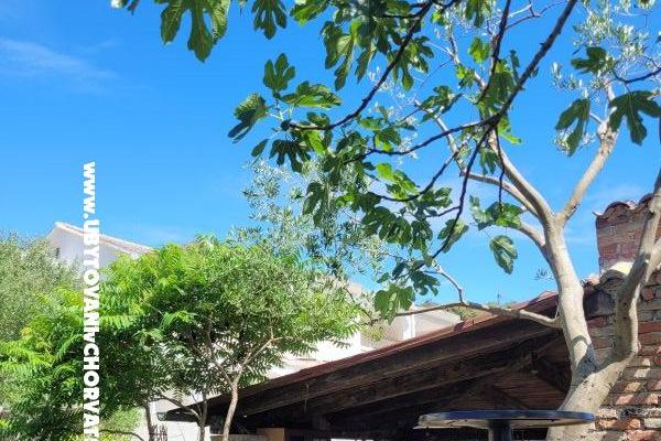 Villa Marija – photo 10