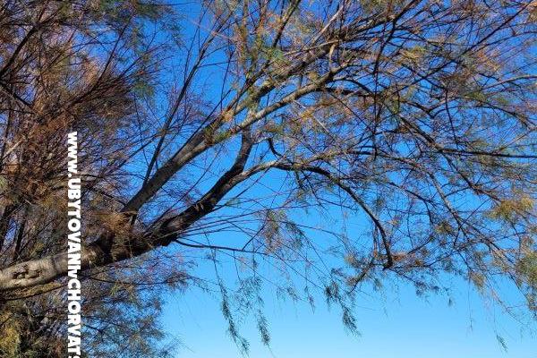 Villa Marija – photo 20