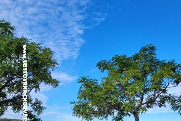 Villa Marija – photo 29