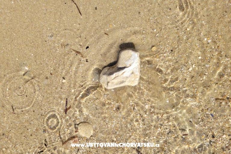 Villa Marija – photo 34