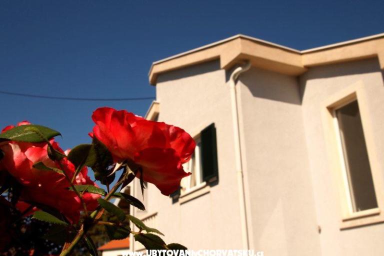 Villa Petra – photo 16