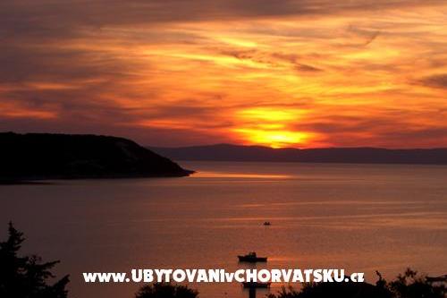 Zajsek doo – photo 4