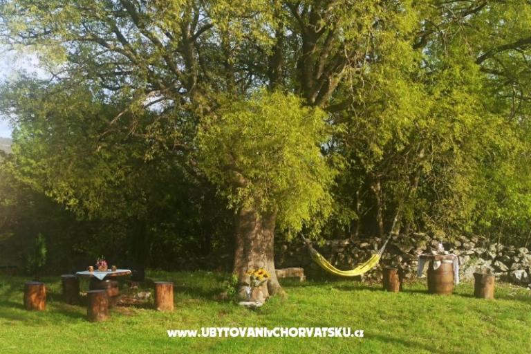 Traditional Istrian House ENI – photo 11