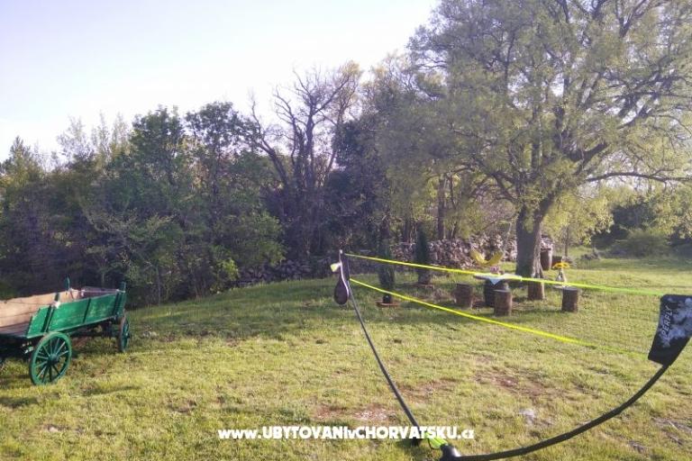 Traditional Istrian House ENI – photo 6