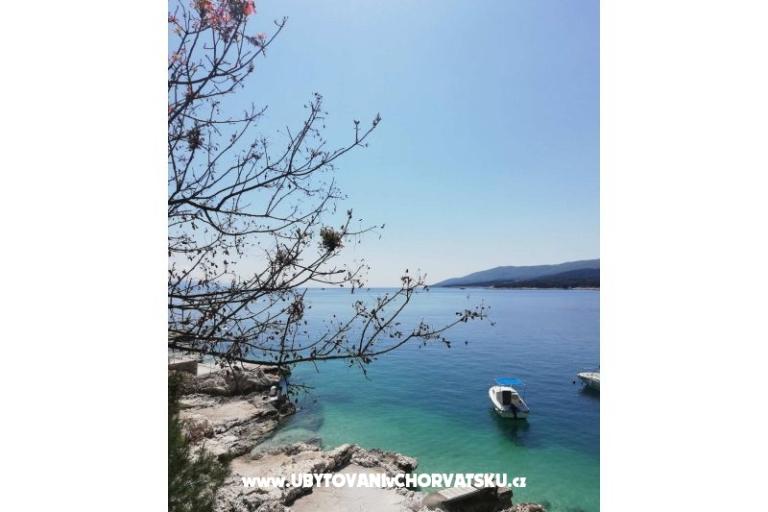 Traditional Istrian House ENI – photo 7
