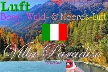 Villa Paradiso – photo 7
