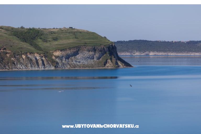 Apartma ZARA – photo 9