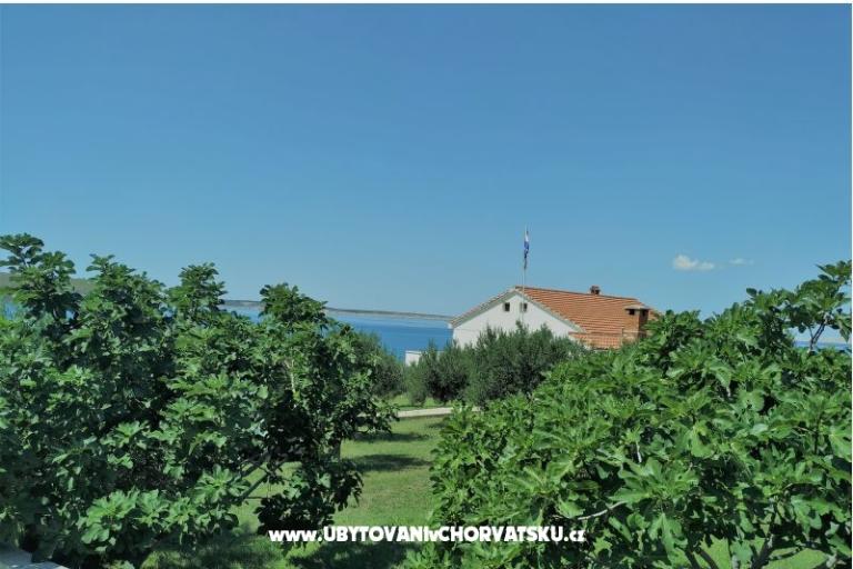 Apartment Miočić - Adam – photo 13