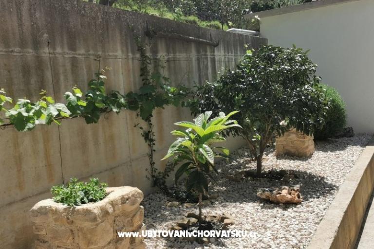 Apartments CAPE – photo 3