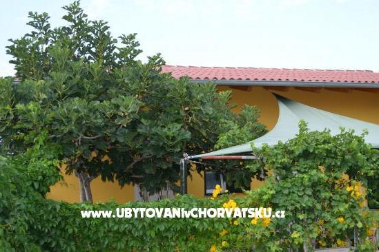 Apartments Negro – photo 9