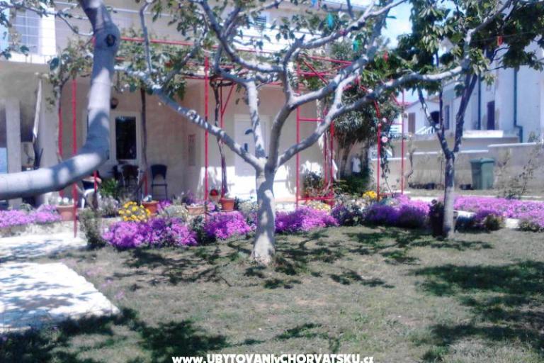 Apartments Vera – photo 9