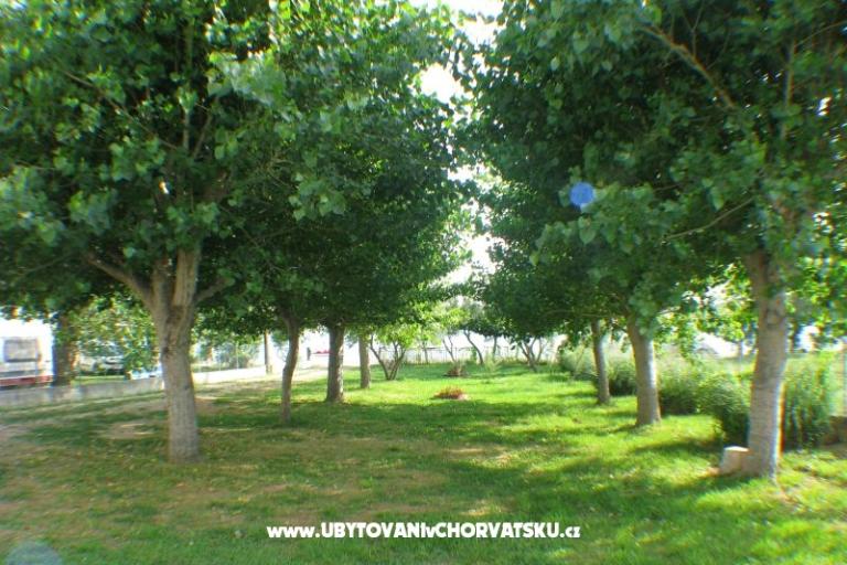 Villa Bibinka Ljubač – photo 8