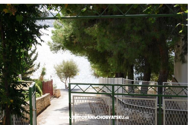  7 maslina – photo 12
