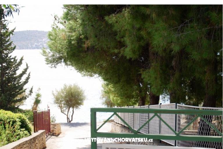  7 maslina – photo 13