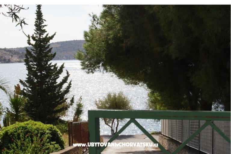 7 maslina – photo 14