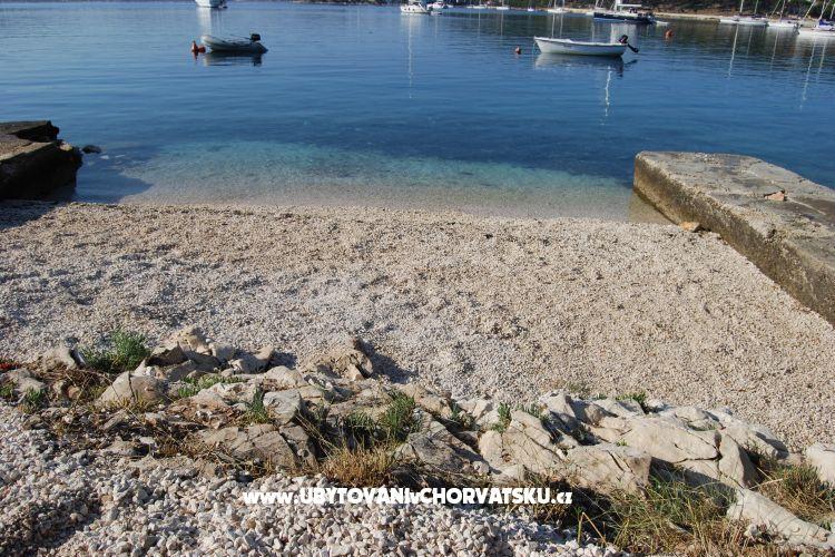  7 maslina – photo 8