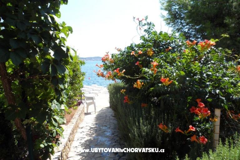 Apartment Ante – photo 6