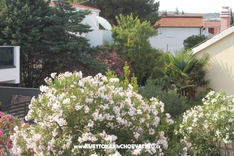 Apartment Brigita – photo 3
