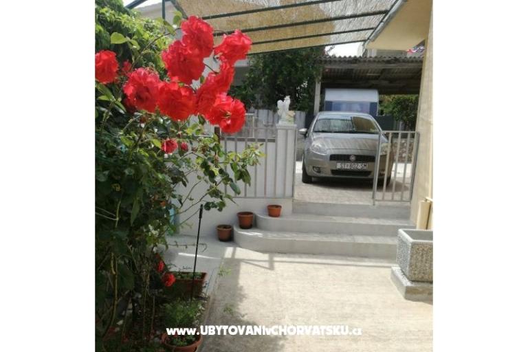 Apartment Pane – photo 14