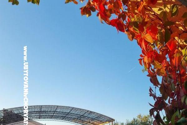 Apartments Ana – photo 6