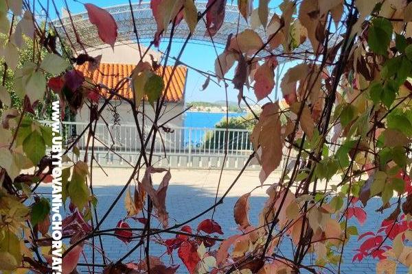 Apartments Ana – photo 7