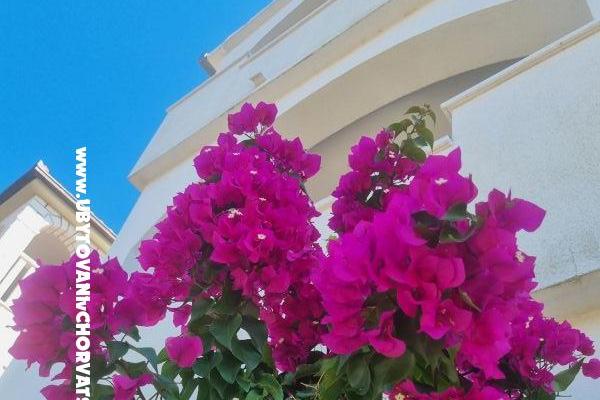 Apartments Ana – photo 9